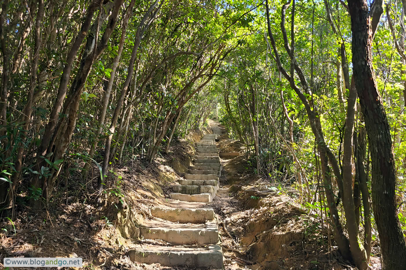 Wong Nai Chung to Stanley - The Climb to Violet Hill Peak